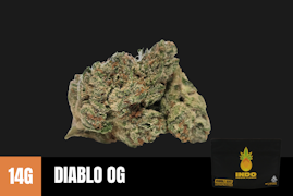 14g Diablo OG (Indoor Smalls Black Label) - Humble Root