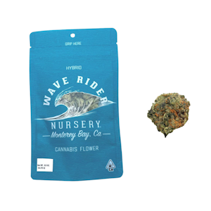 Wave Rider - 14g Fruit Punch (Greenhouse Smalls) - Wave Rider