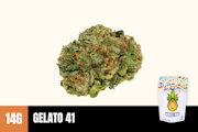 14g Gelato 41 (Greenhouse Smalls) - Humble Root