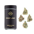 14g Gelato Breath (Indoor Smalls) - Cream of the Crop