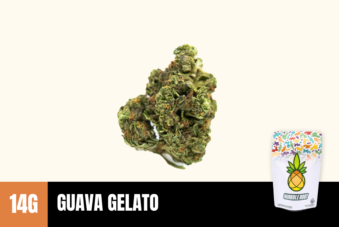 14g Guava Gelato (Greenhouse) - Humble Root picture