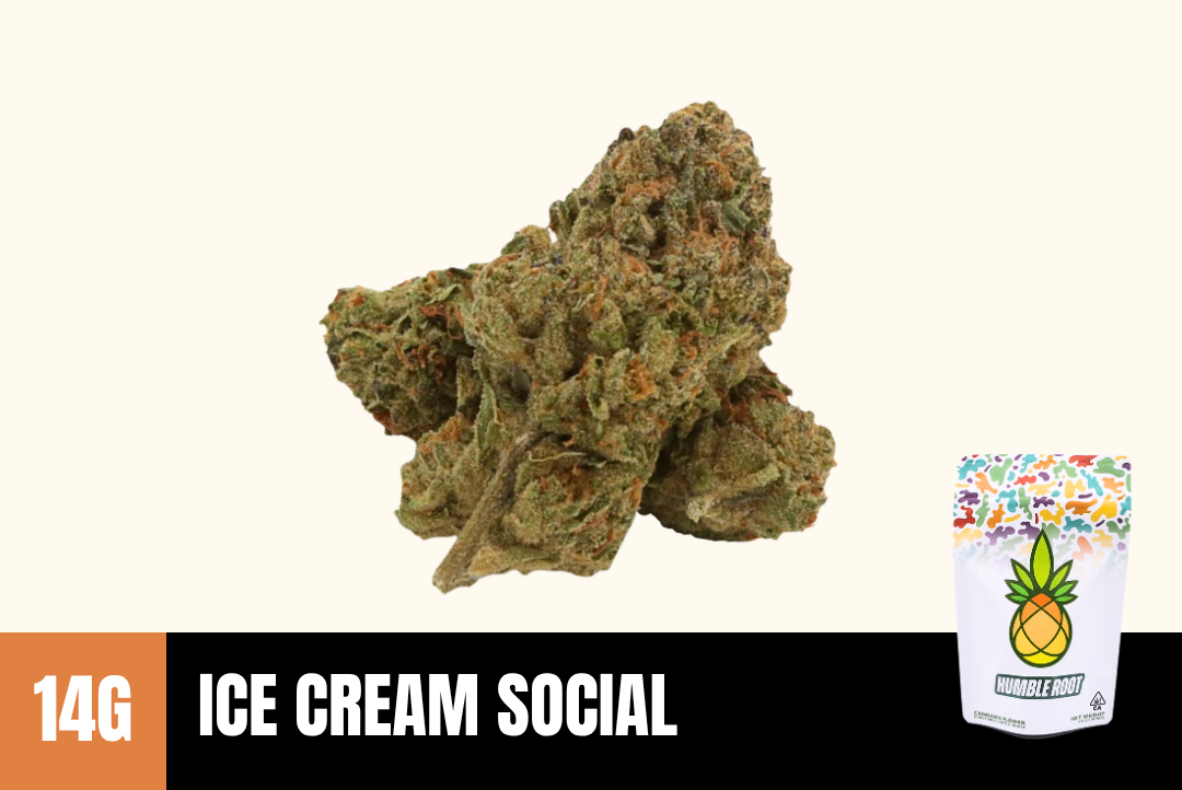 14g Ice Cream Social (Greenhouse) - Humble Root picture