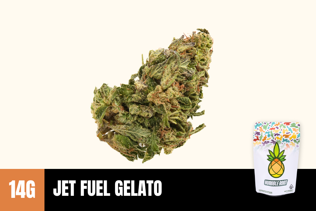 14g Jet Fuel Gelato (Greenhouse) - Humble Root picture