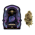 14g Kashmir Kush (Greenhouse) - Sanctuary Farms