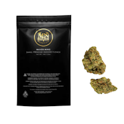 14g Key Lime Jack (Indoor Smalls) - Maven