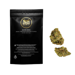 Maven - 14g Key Lime Jack (Indoor Smalls) - Maven