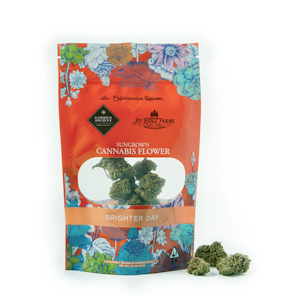 GARDEN SOCIETY - 14g Key Lime Jack (Greenhouse) - Garden Society