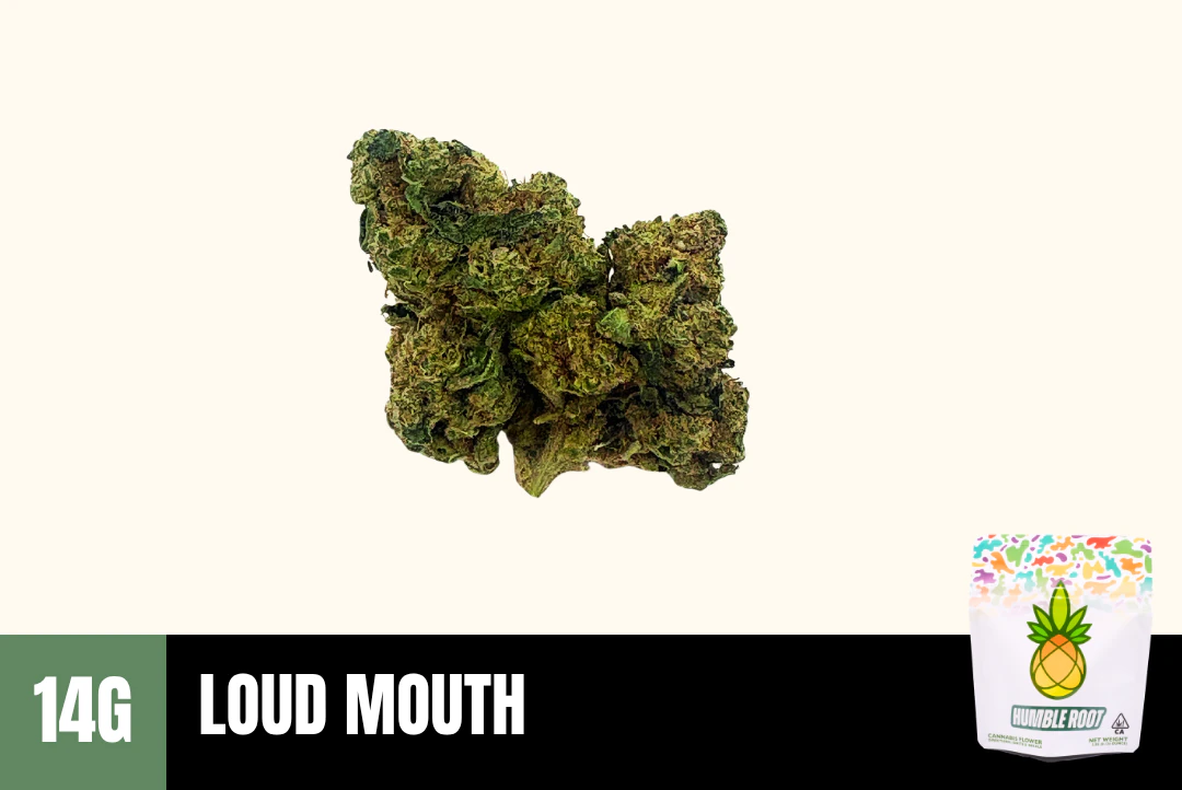 Humble Root - 14g Loud Mouth - Humble Root Main Image