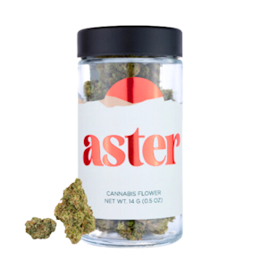 Aster Farms - 14g Mango Haze (Sungrown Smalls) - Aster Farms
