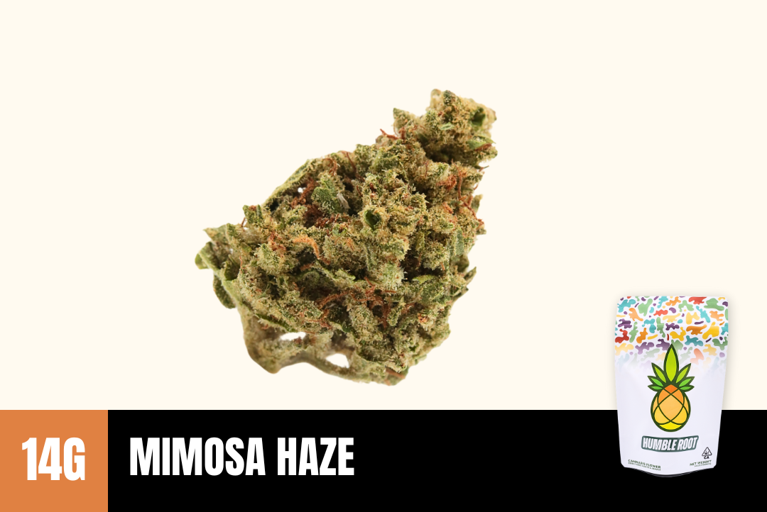 14g Mimosa Haze (Greenhouse) - Humble Root picture