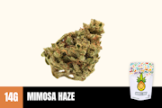 14g Mimosa Haze (Greenhouse) - Humble Root