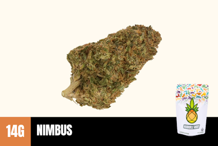 Humble Root - 14g Nimbus (Greenhouse) - Humble Root