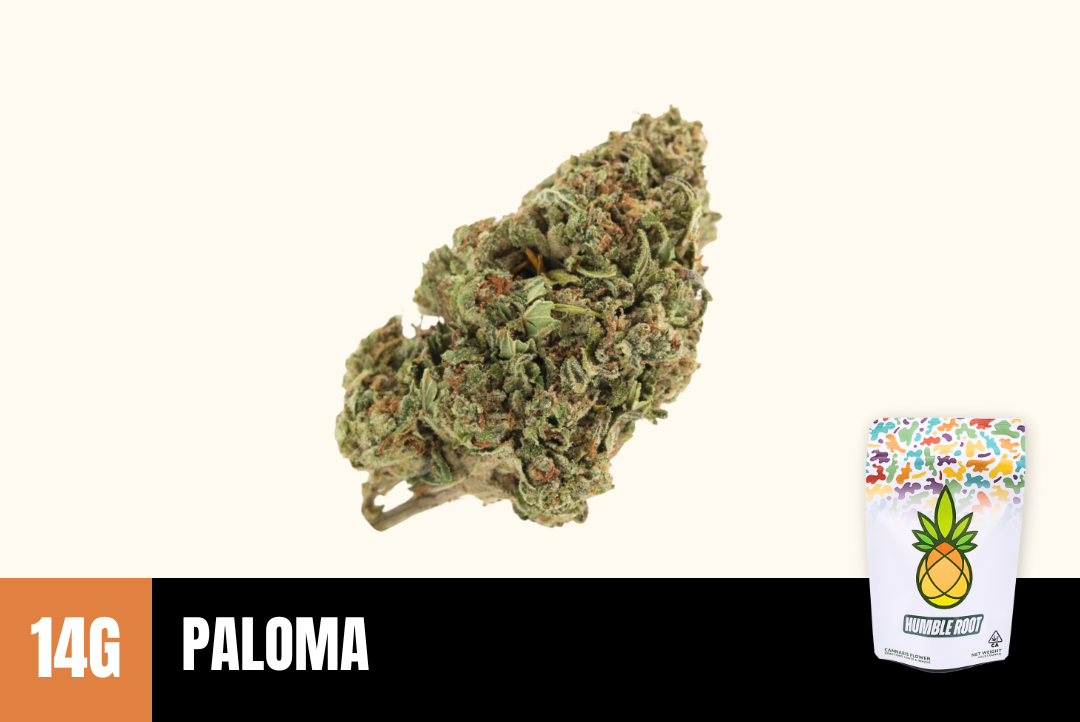 14g Paloma (Greenhouse) - Humble Root picture