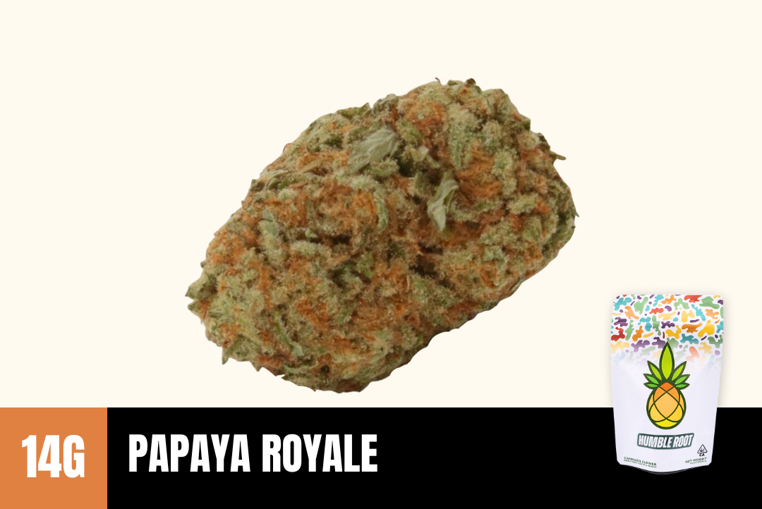 14g Papaya Royale (Greenhouse) - Humble Root picture