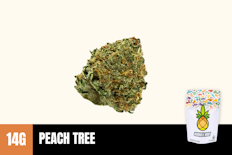 14g Peach Tree (Greenhouse) - Humble Root