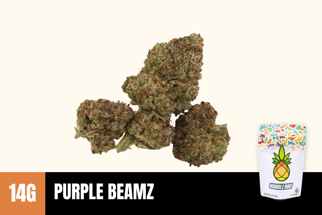 14g Purple Beamz (Greenhouse) - Humble Root picture