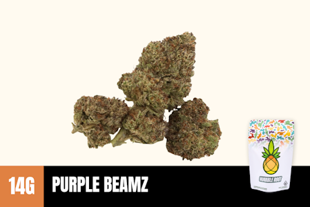 Humble Root - 14g Purple Beamz (Greenhouse) - Humble Root