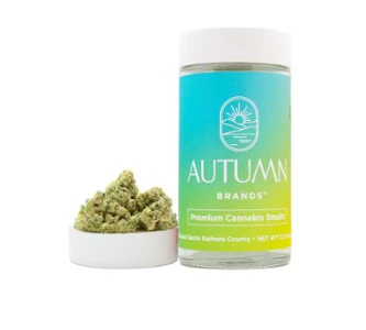 AUTUMN BRANDS - Autumn Brands Smalls 14g Blueberry Pancakes