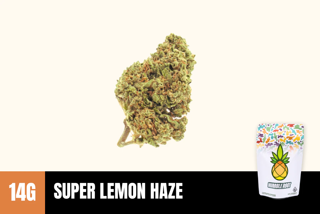Humble Root - 14g Super Lemon Haze (Greenhouse) - Humble Root Main Image