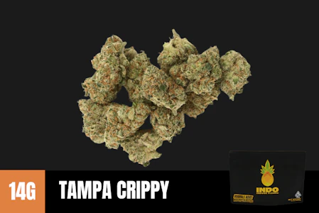 Humble Root - 14g Tampa Crippy "INDO"(Indoor Smalls) - Humble Root
