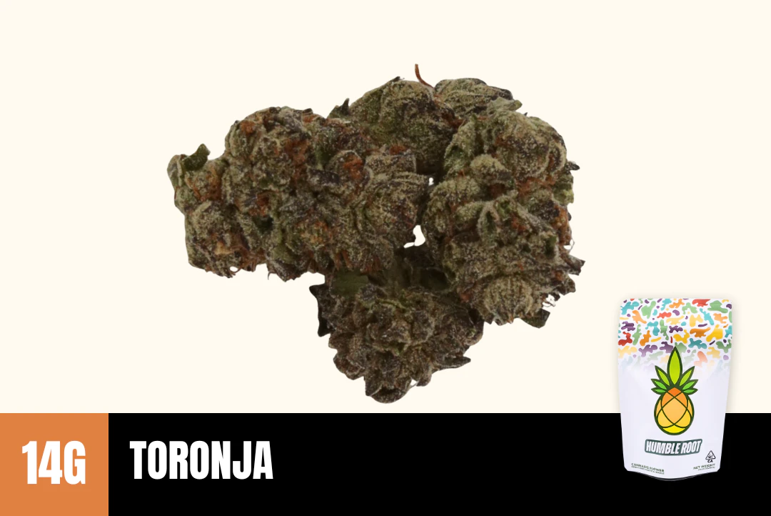 Humble Root - 14g Toronja (Greenhouse) - Humble Root Main Image