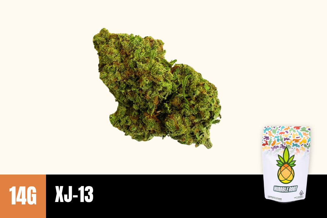 14g XJ-13 (Greenhouse) - Humble Root picture
