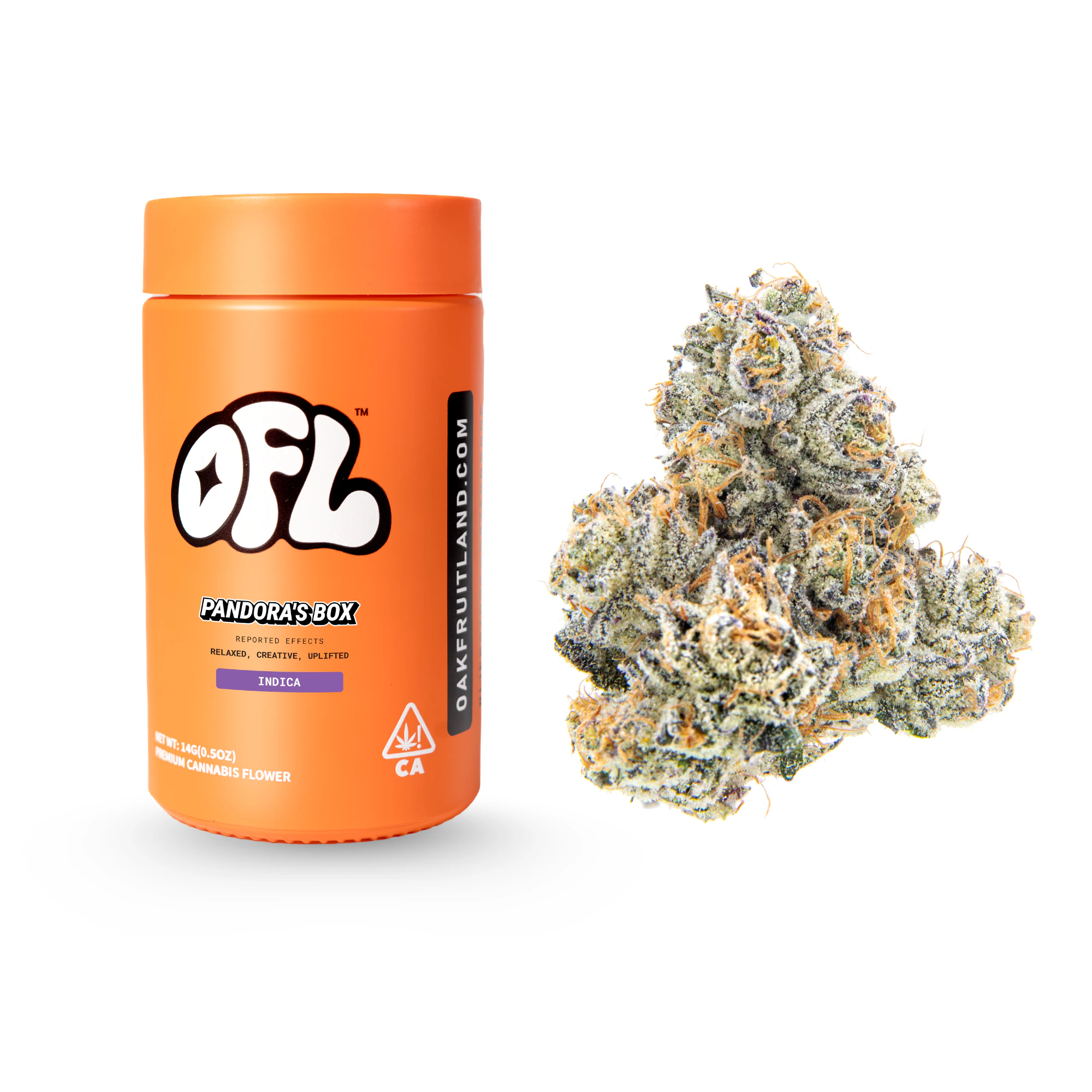 Oakfruitland (OFL) - Pandora's Box | 14g Main Image
