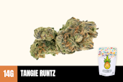 14g Tangie Runtz (Greenhouse) - Humble Root