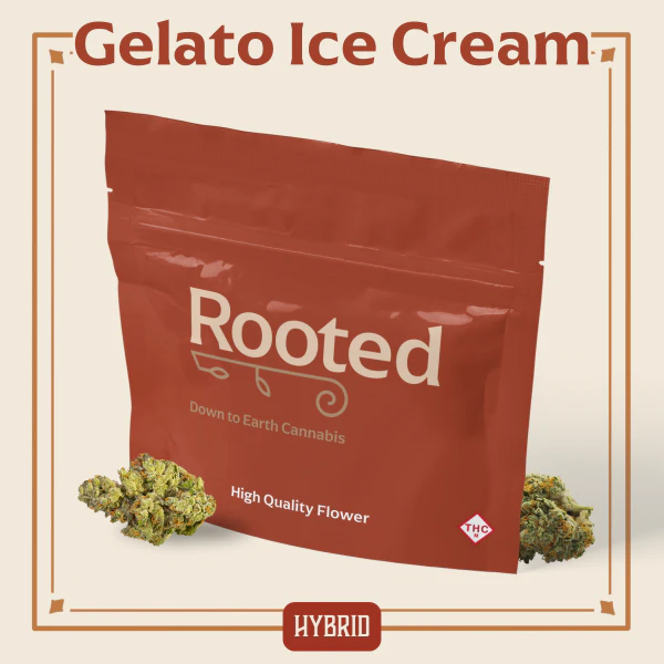 Rooted - ROOTED - GELATO ICE CREAM 3.5 GRAMS Main Image