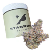 Blueberry Breath - 14g - CMS Gardens