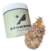 Candied Garlic - 14g - CMS Gardens