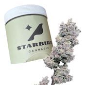 Garlic Sherbert x Twisted Ice Cream - 14g - Trifecta Farms