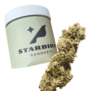 Blue Collar Botany - Grapefruit Magoo - 14g - Blue Collar Botany