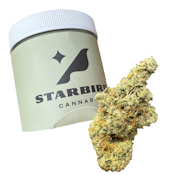 Maui True Blood - 14g - Blue Collar Botany