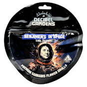 Decibel Garden - Benjamins In Space - Flower - 14.0g