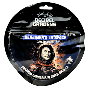 DECIBEL GARDENS - Decibel Garden - Benjamins In Space - Flower - 14.0g