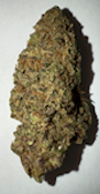 HG - Snoops Dream (1/8) - Hybrid