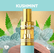 Dime -1G Disposable Dime Live Reserve Kush Mint: Indica