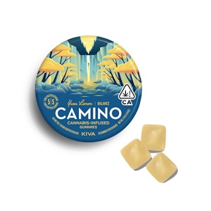 Camino - Yuzu Lemon CBD 1:1 100mg Gummy 20pk - Camino
