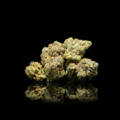 Pearl Pharma - Flower - Indoor - Jet Mints - 3.5g
