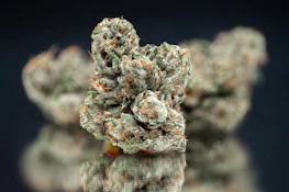 Mega Wellness OG®