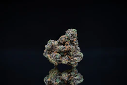 Sour Runtz