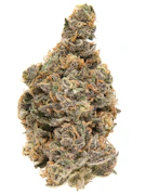Just J's Blueberry Muffin