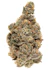 Product Preview Image 1