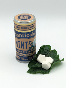NANTICOKE - Nanticoke - Mints - 100mg - Edible