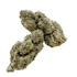 Product Preview Image 2