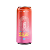 Upstate Elevator | Good Guava Seltzer | 10MG