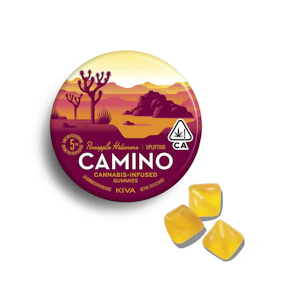 Kiva Confections - Camino Pineapple Habanero "Uplifting" Gummies