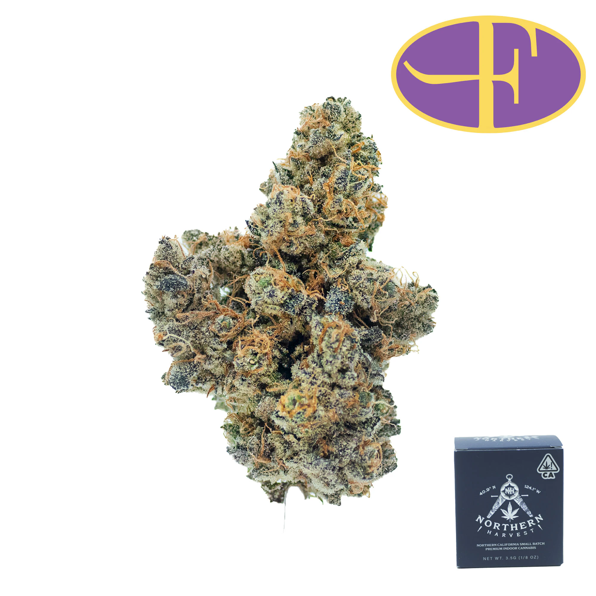 Northern Harvest - XJ-13 Main Image