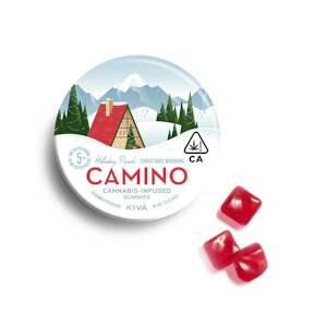 Kiva Confections - Camino - Holiday Punch - Gummies - 100MG